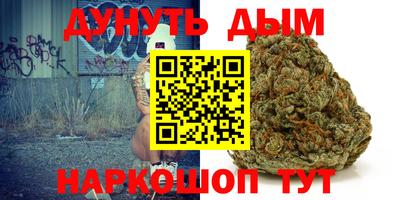 сатива Краснознаменск